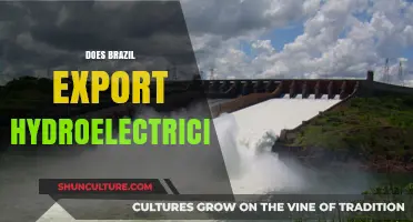 Brazil's Hydroelectric Power: A Major Exporter or Domestic Focus?