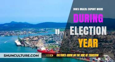 Brazil's Election Year Export Trends: A Comprehensive Economic Analysis