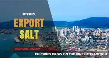 Brazil's Salt Exports: A Surprising Global Trade Insight