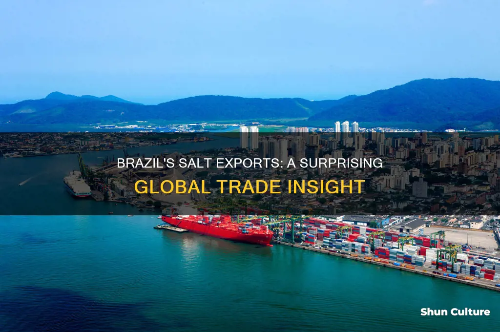 does brazil export salt