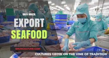 Brazil's Seafood Exports: A Global Trade Overview and Insights