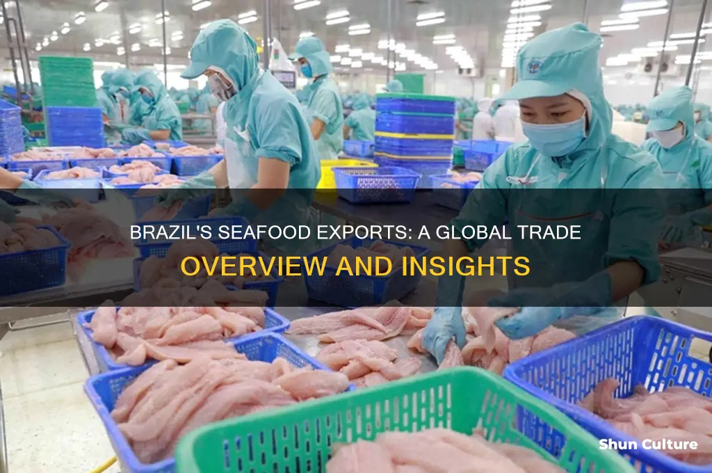 does brazil export seafood