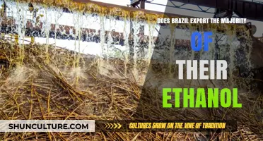 Brazil's Ethanol Exports: Dominating Global Markets or Domestic Focus?