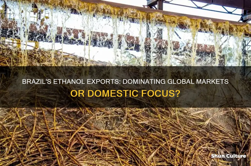 does brazil export the majority of their ethanol