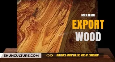 Brazil's Wood Exports: A Global Trade Overview and Impact