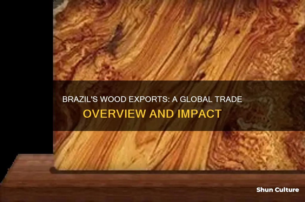 does brazil export wood