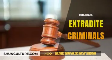 Does Brazil Extradite Criminals? Understanding Extradition Laws and Practices