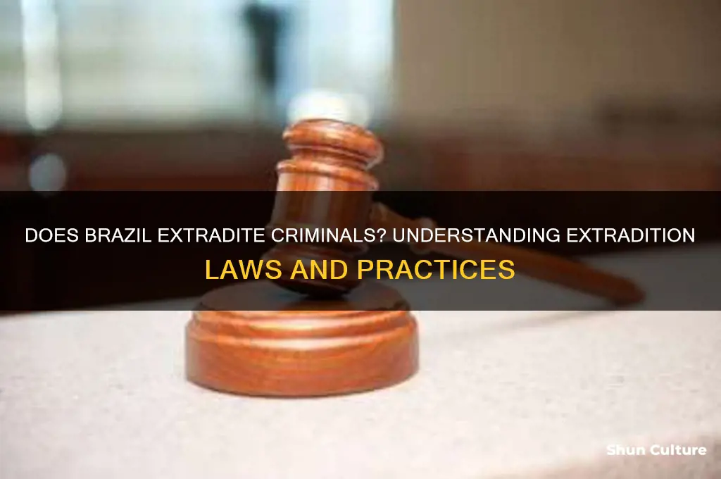 does brazil extradite criminals