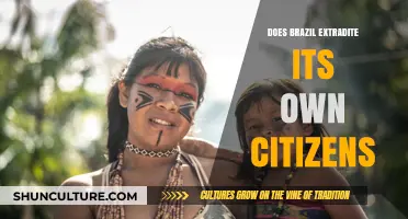Does Brazil Extradite Its Citizens? Legal Insights and Cases