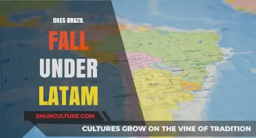Is Brazil Part of LatAm? Exploring Geographic and Cultural Connections
