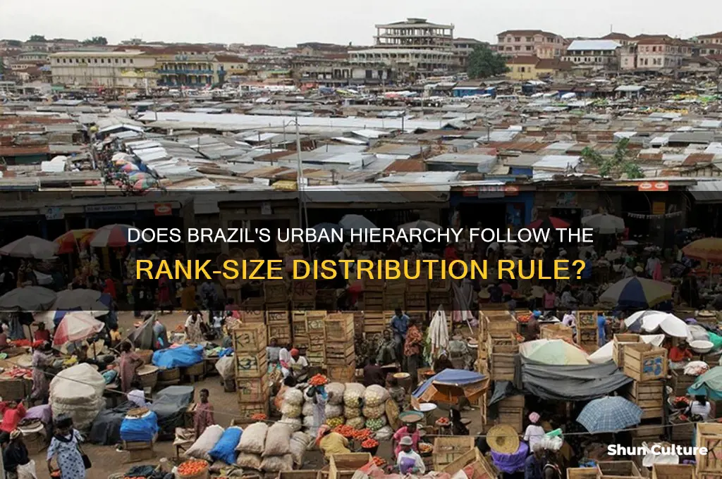 does brazil follow rank-size distribution