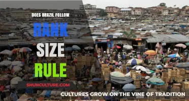 Does Brazil Adhere to the Rank-Size Rule? An Urban Analysis
