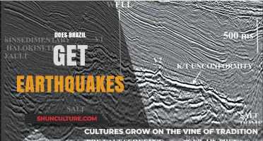 Does Brazil Experience Earthquakes? Exploring Seismic Activity in South America