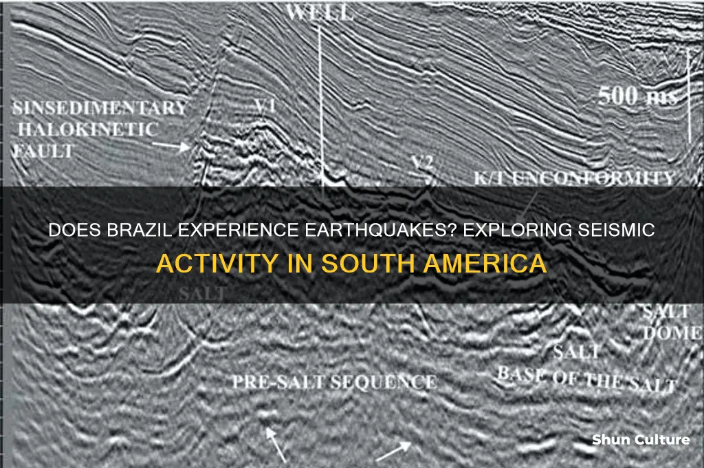 does brazil get earthquakes