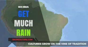 Brazil's Rainfall: How Much Does It Really Rain in Brazil?