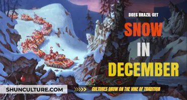 Does Brazil Get Snow in December? Exploring the Country's Winter Climate