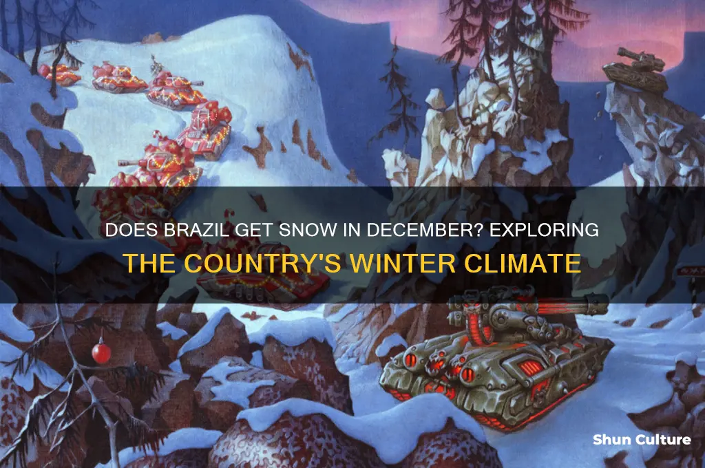 does brazil get snow in december