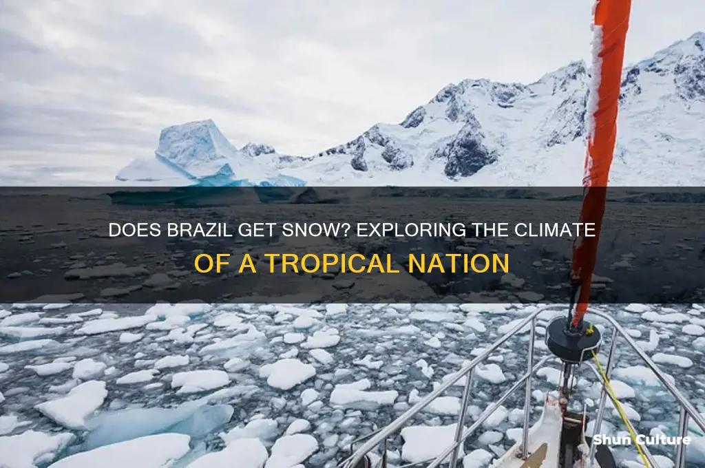 does brazil get snow