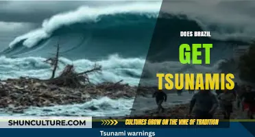 Does Brazil Face Tsunami Risks? Exploring Coastal Hazards and Safety