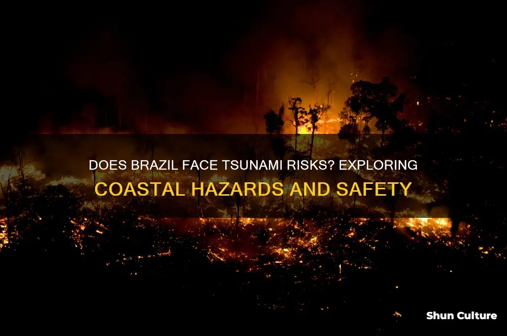 does brazil get tsunamis