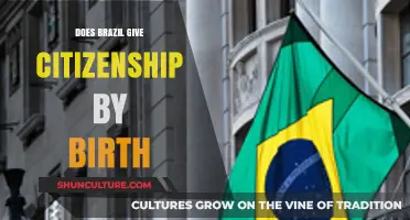 Brazil's Birthright Citizenship: Understanding Jus Soli Laws and Eligibility