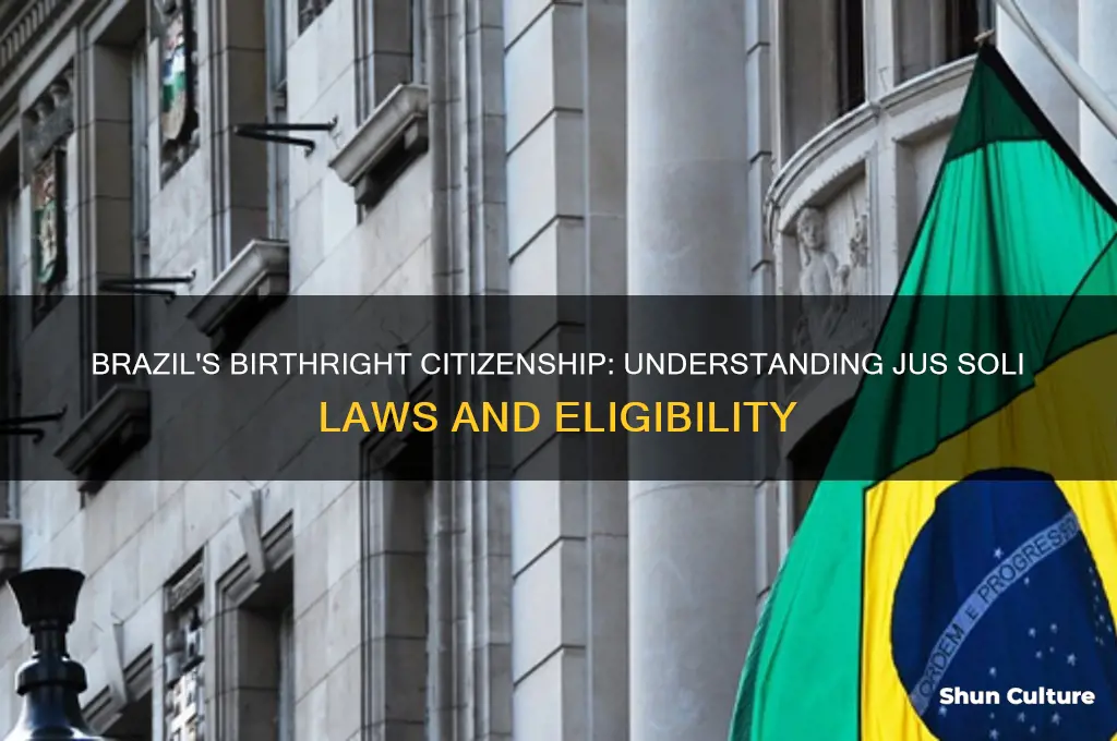 does brazil give citizenship by birth