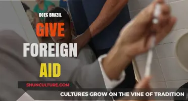 Brazil's Global Role: Exploring Its Foreign Aid Contributions and Impact