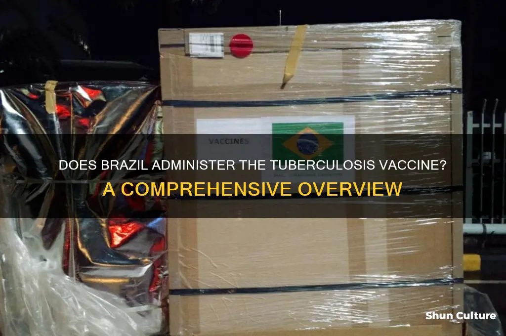 does brazil give tb vaccine