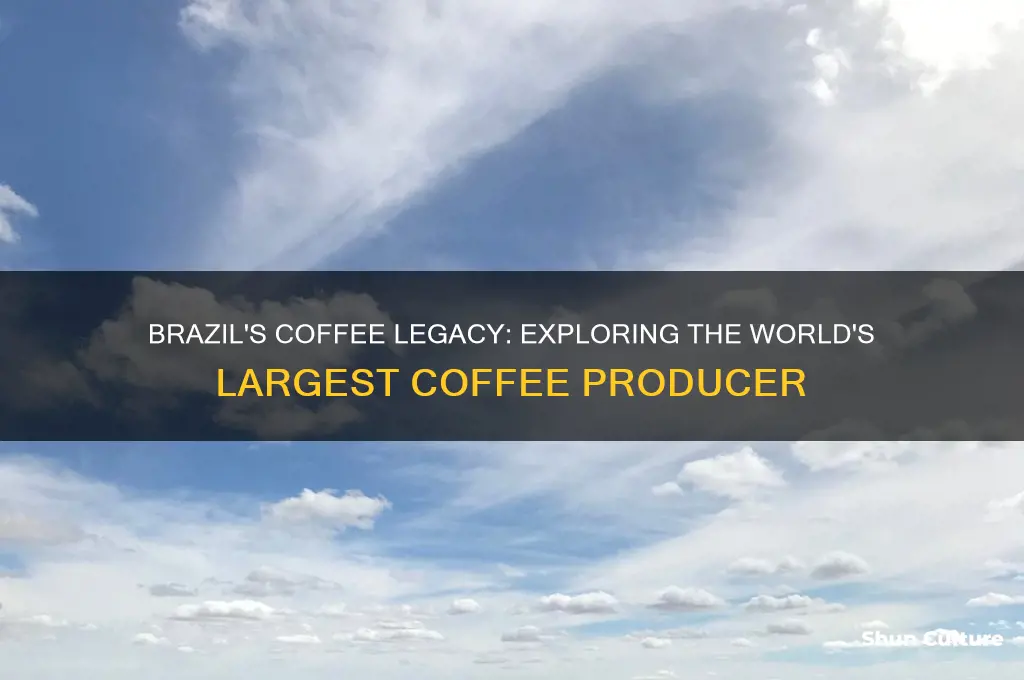 does brazil grow coffee