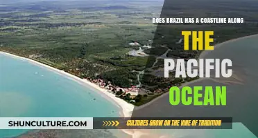 Brazil's Coastline: Atlantic Only, No Pacific Presence Explained