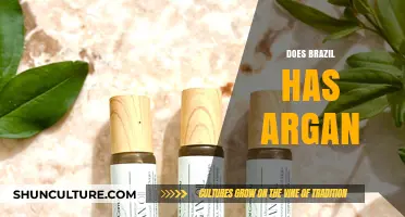 Does Brazil Have Argan Oil? Exploring Origins and Alternatives