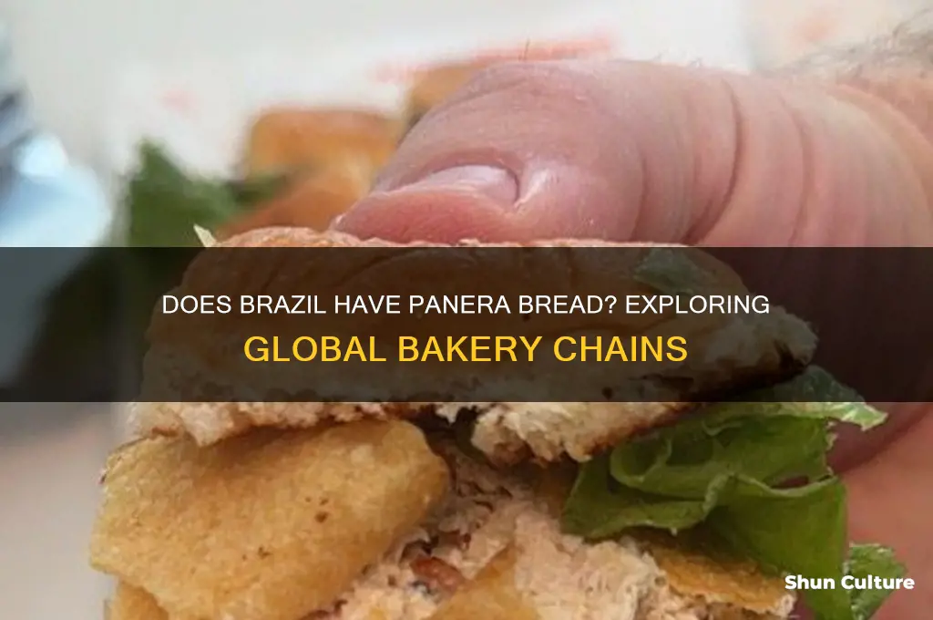 does brazil has panera bread