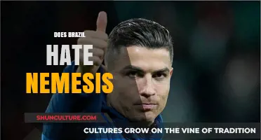 Does Brazil Hate Nemesis? Exploring the Complex Relationship and Rivalry