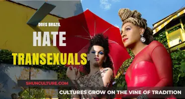 Brazil's Complex Relationship with Transgender Individuals: Hate or Acceptance?