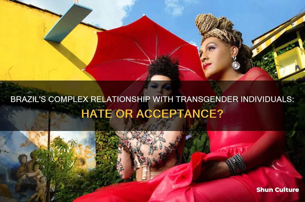 does brazil hate transexuals