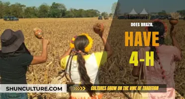 Exploring Brazil's Youth Agricultural Programs: Is 4-H Among Them?