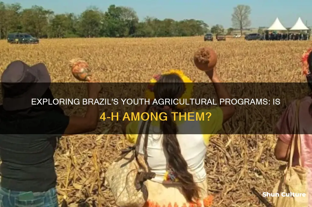 does brazil have 4-h