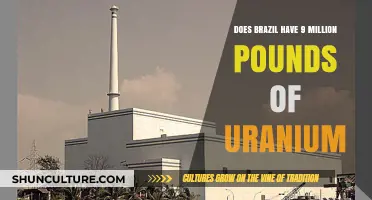 Brazil's Uranium Reserves: Unveiling the 9 Million Pound Mystery