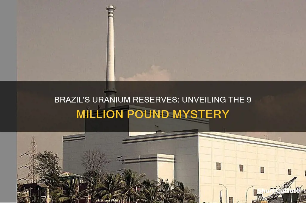 does brazil have 9 million pounds of uranium