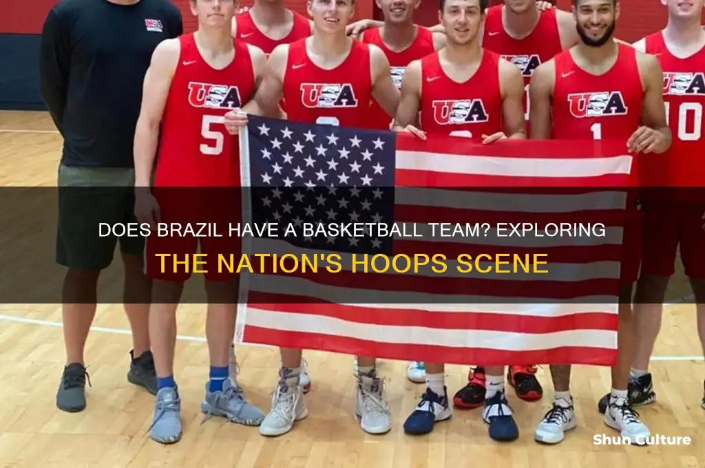 does brazil have a basketball team