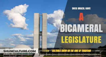 Brazil's Legislative Structure: Exploring the Bicameral System in Action
