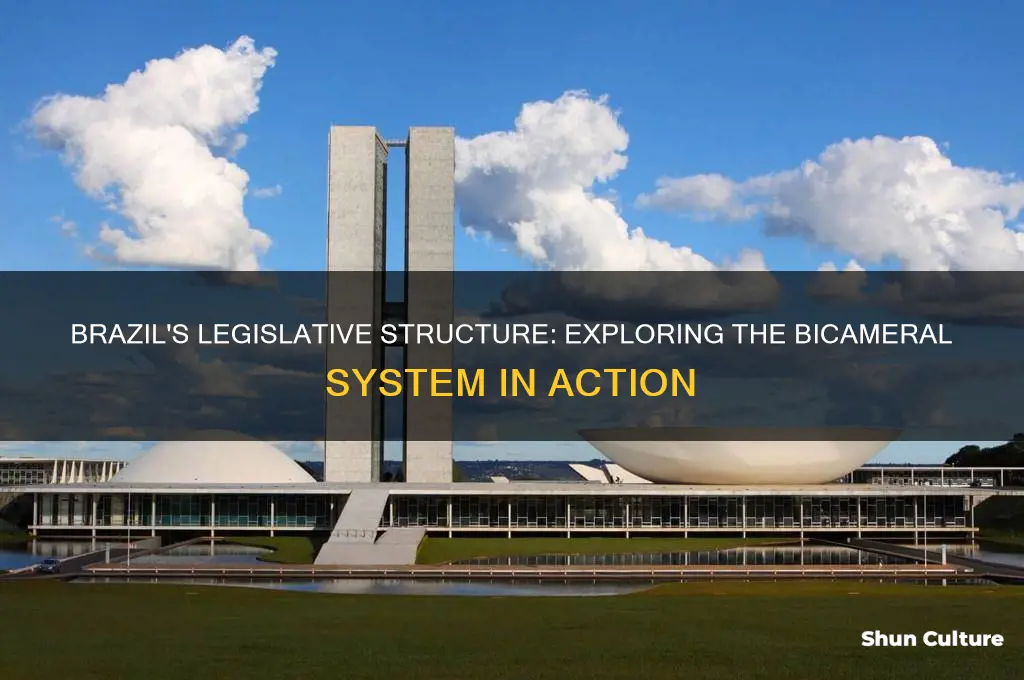 does brazil have a bicameral legislature