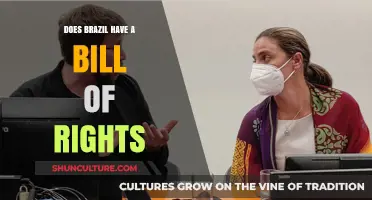 Exploring Brazil's Constitutional Rights: Does It Include a Bill of Rights?