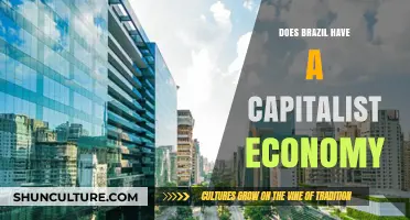 Brazil's Economic Model: A Capitalist System or Mixed Economy?