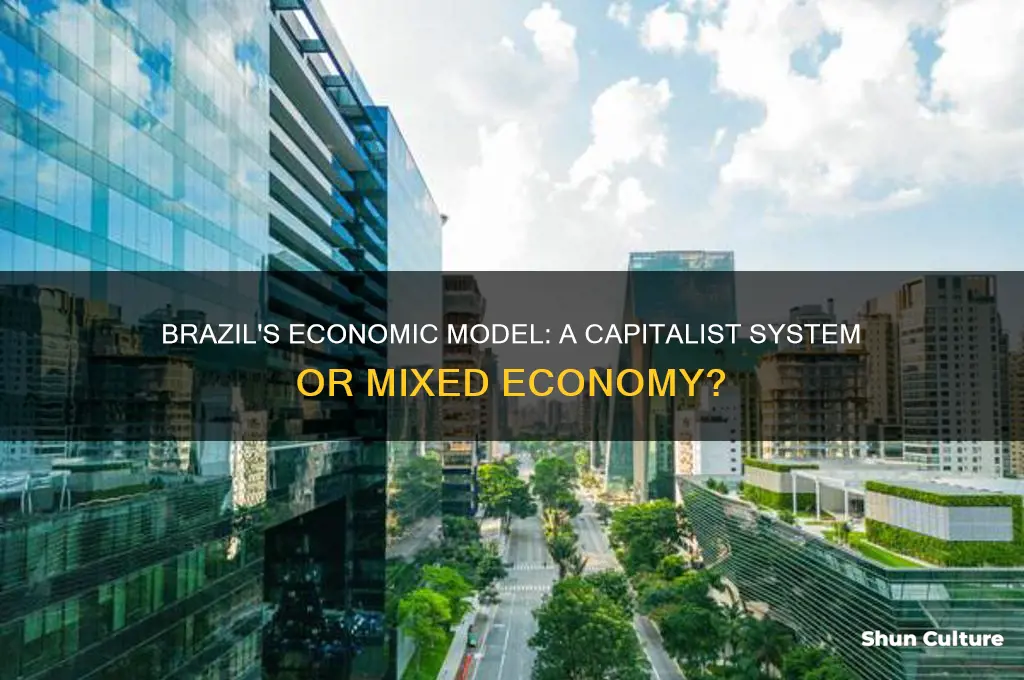 does brazil have a capitalist economy