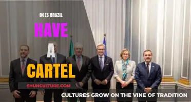 Does Brazil Have a Cartel? Uncovering the Truth Behind Organized Crime