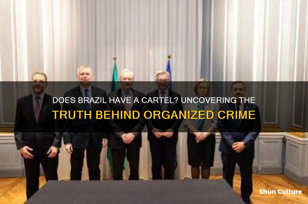 does brazil have a cartel