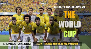 Brazil's World Cup 2022 Odds: Can the Samba Boys Reign Again?