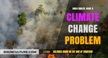 Brazil's Climate Crisis: Challenges, Impacts, and Urgent Solutions Needed