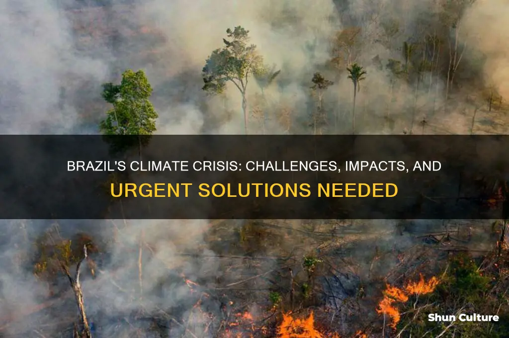does brazil have a climate change problem
